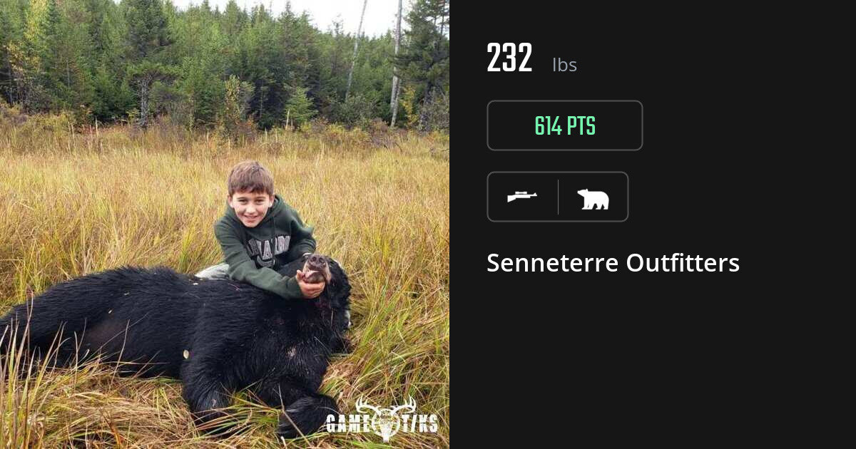 Bear harvest on Gametiks