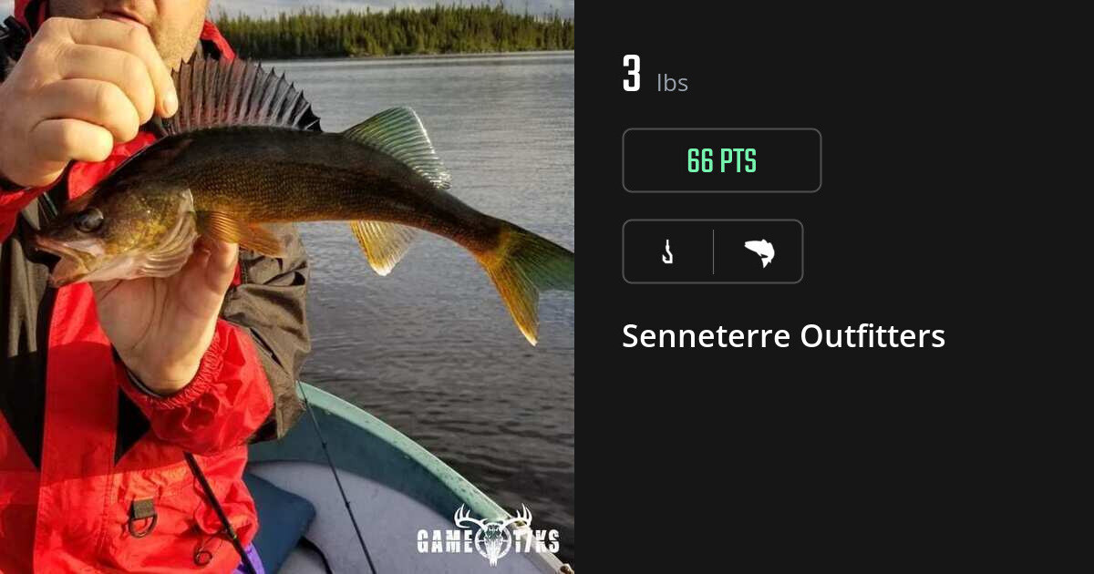 Saltwater fish harvest on Gametiks