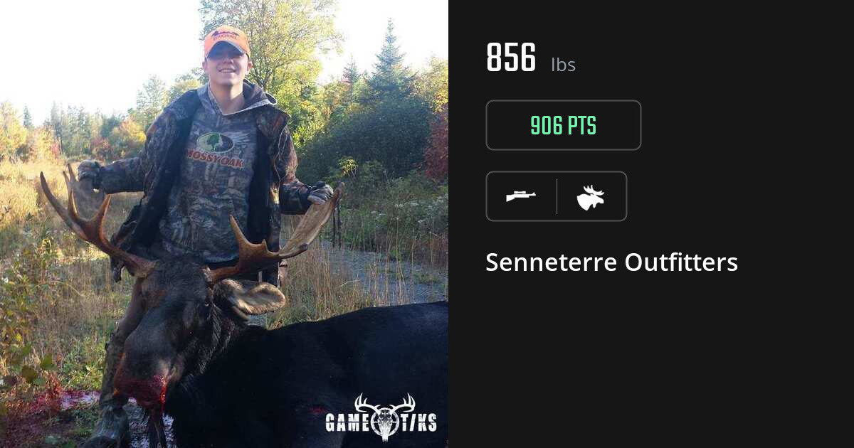 Moose harvest on Gametiks