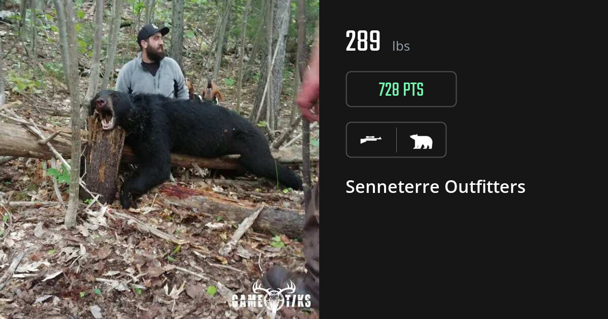 Bear harvest on Gametiks