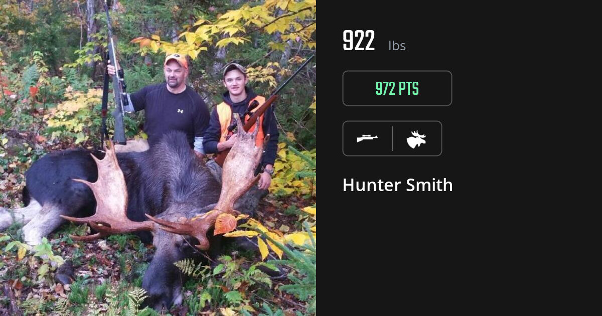 Moose harvest on Gametiks