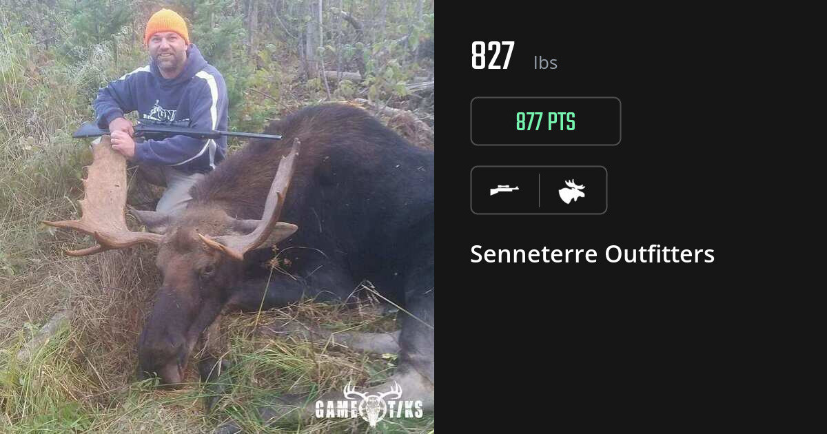 Moose harvest on Gametiks