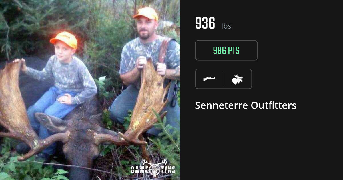 Moose harvest on Gametiks