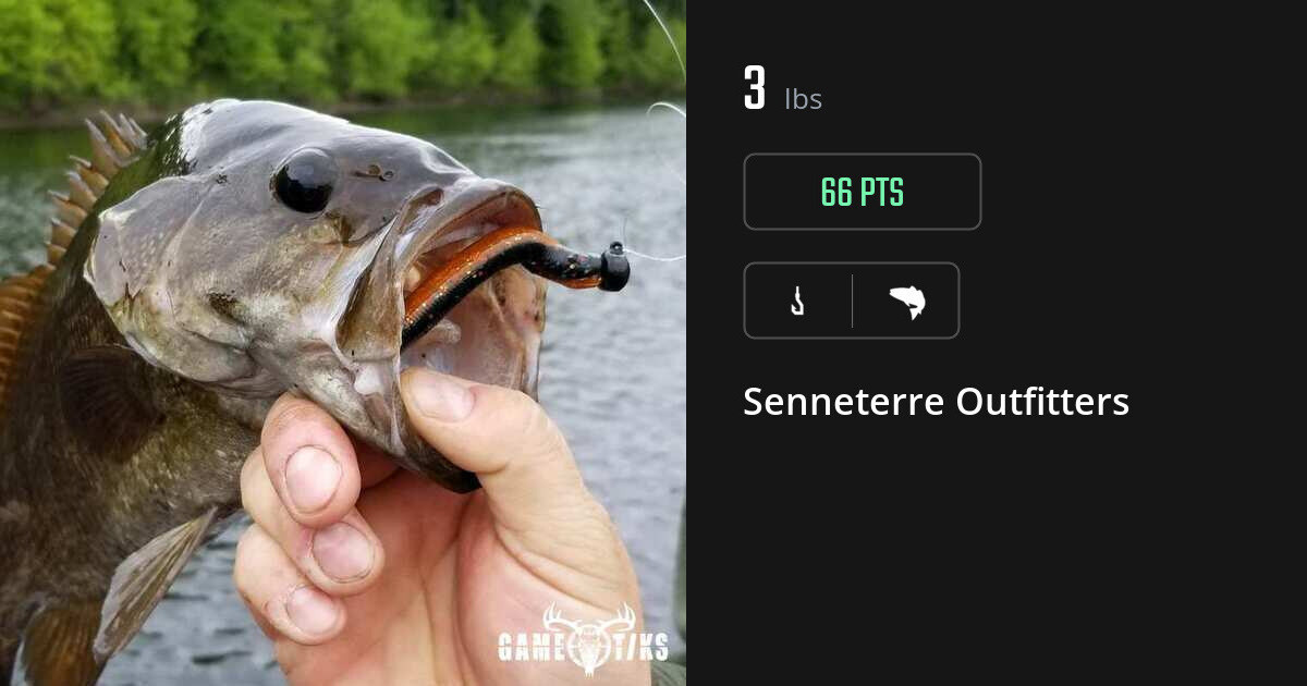 saltwater_fish harvest by Senneterre Outfitters