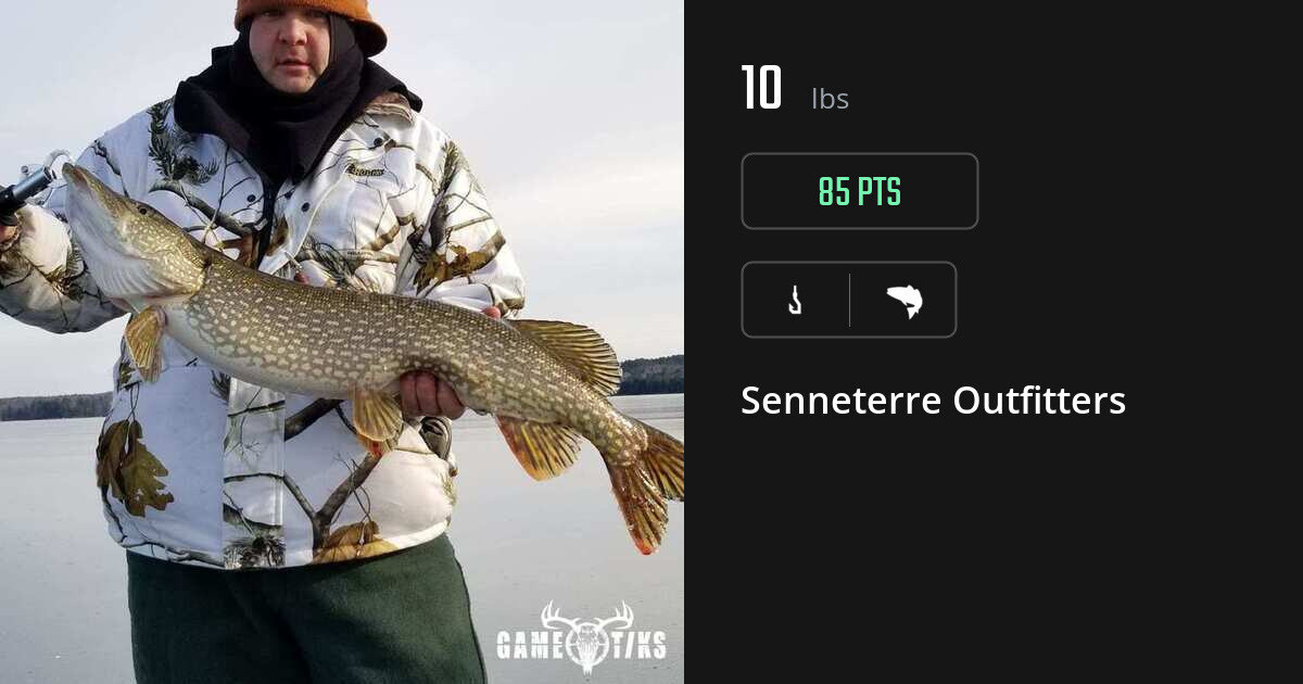 saltwater_fish harvest by Senneterre Outfitters
