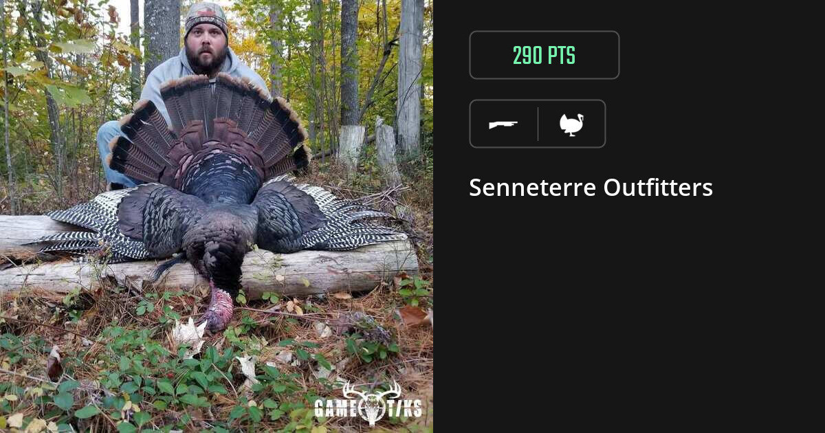 turkey harvest by Senneterre Outfitters