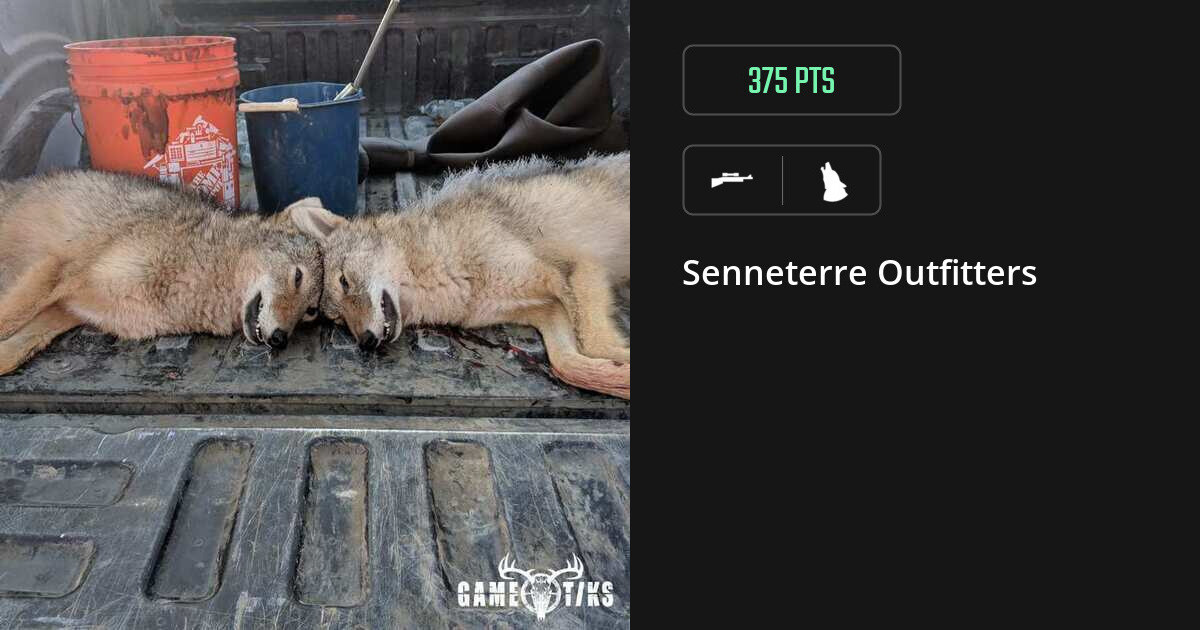 canine harvest by Senneterre Outfitters