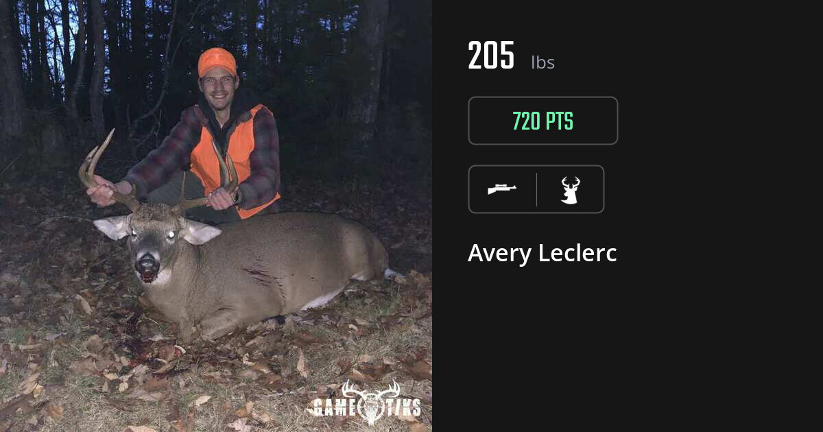 deer harvest by Avery Leclerc