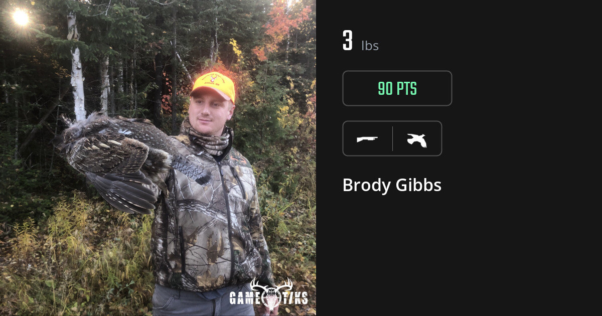 Upland bird harvest on Gametiks