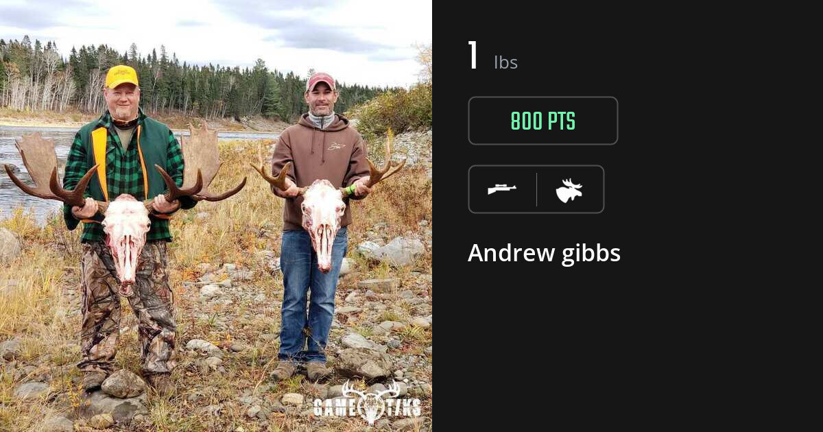 moose harvest by Andrew gibbs