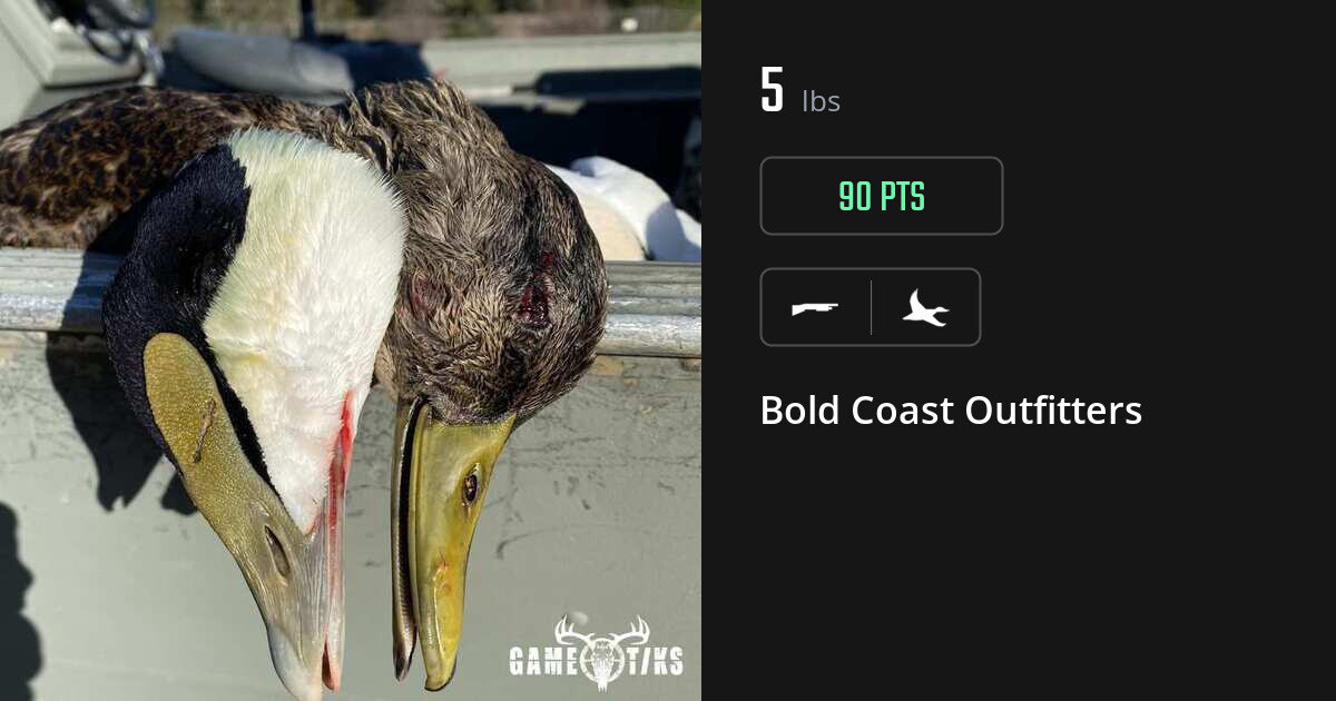 Waterfowl harvest on Gametiks