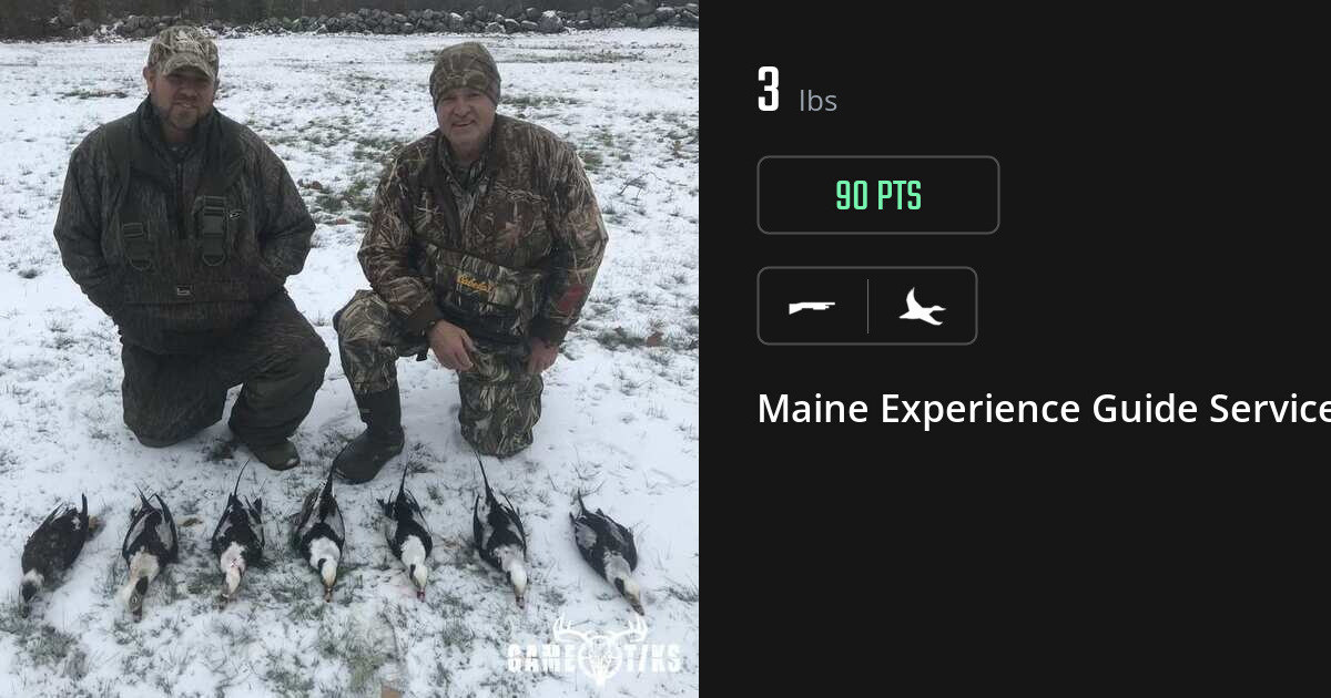 Waterfowl harvest on Gametiks