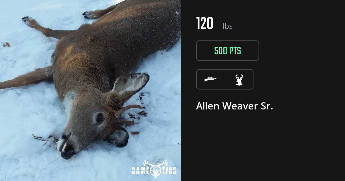 deer harvest by Allen Weaver Sr.