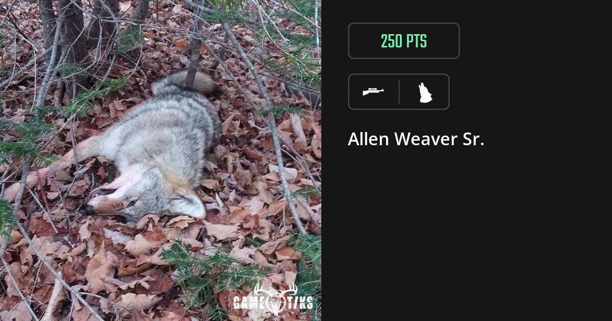 canine harvest by Allen Weaver Sr.