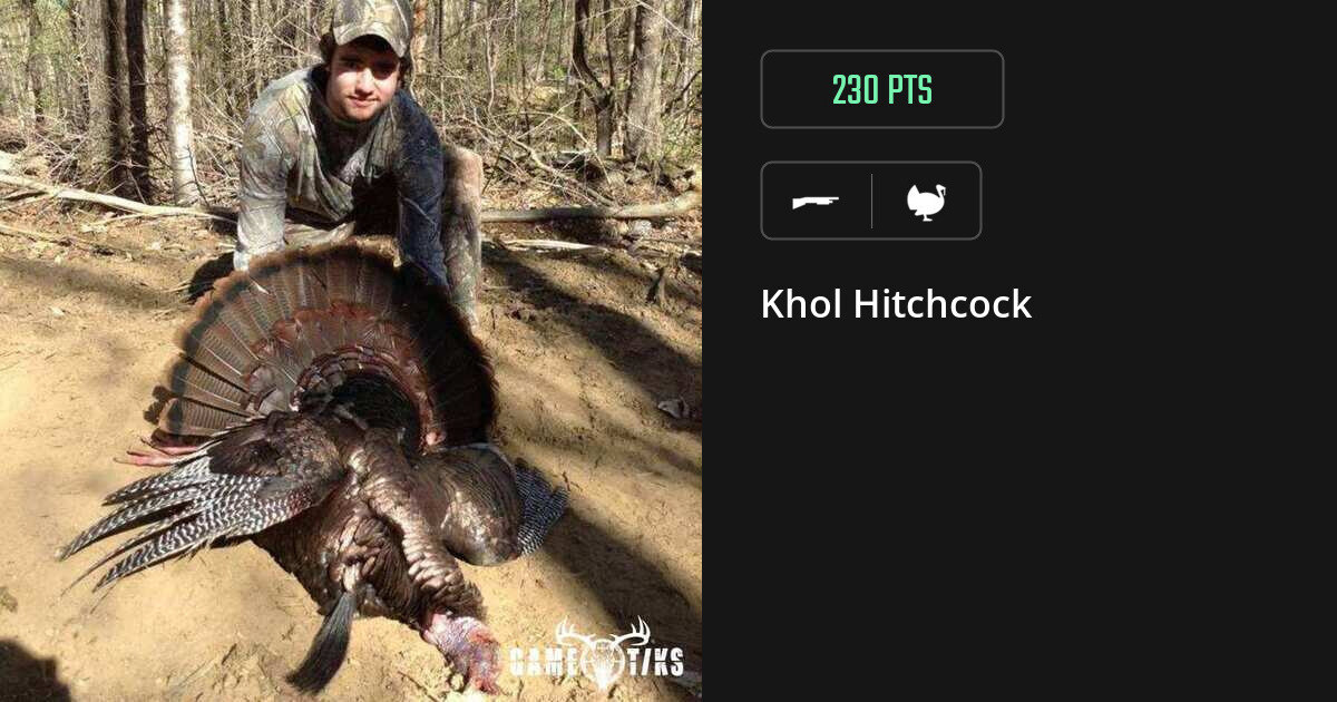 turkey harvest by Khol Hitchcock