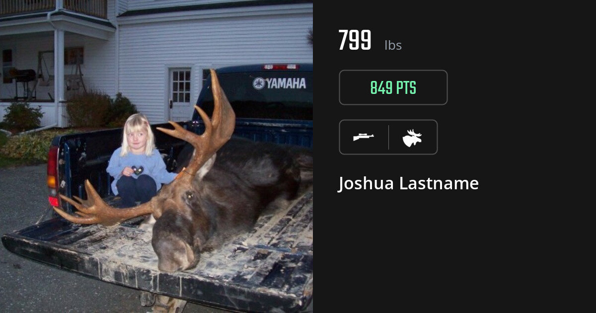 Moose harvest on Gametiks