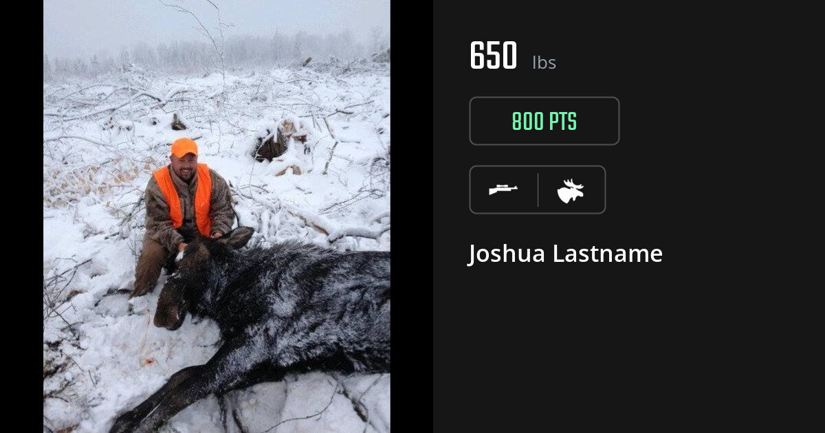 moose harvest by Joshua Lastname