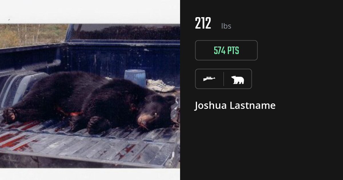 bear harvest by Joshua Lastname