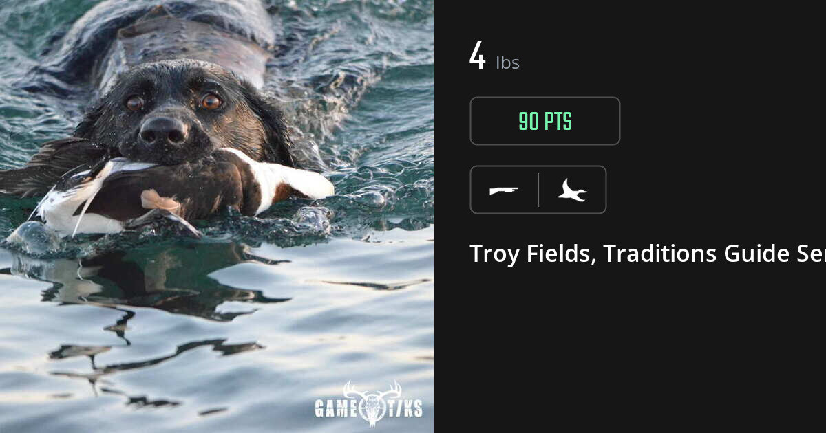 Waterfowl harvest on Gametiks