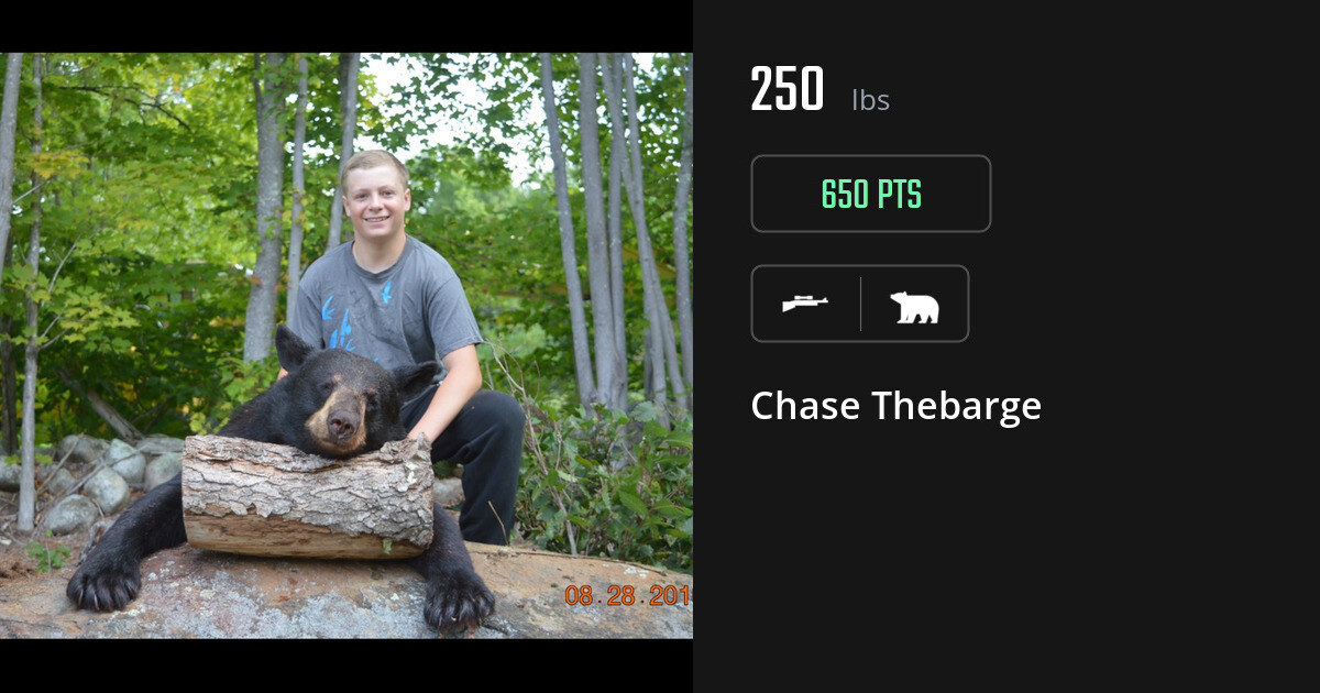 bear harvest by Chase Thebarge