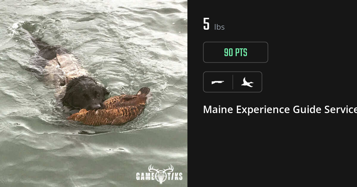 Waterfowl harvest on Gametiks