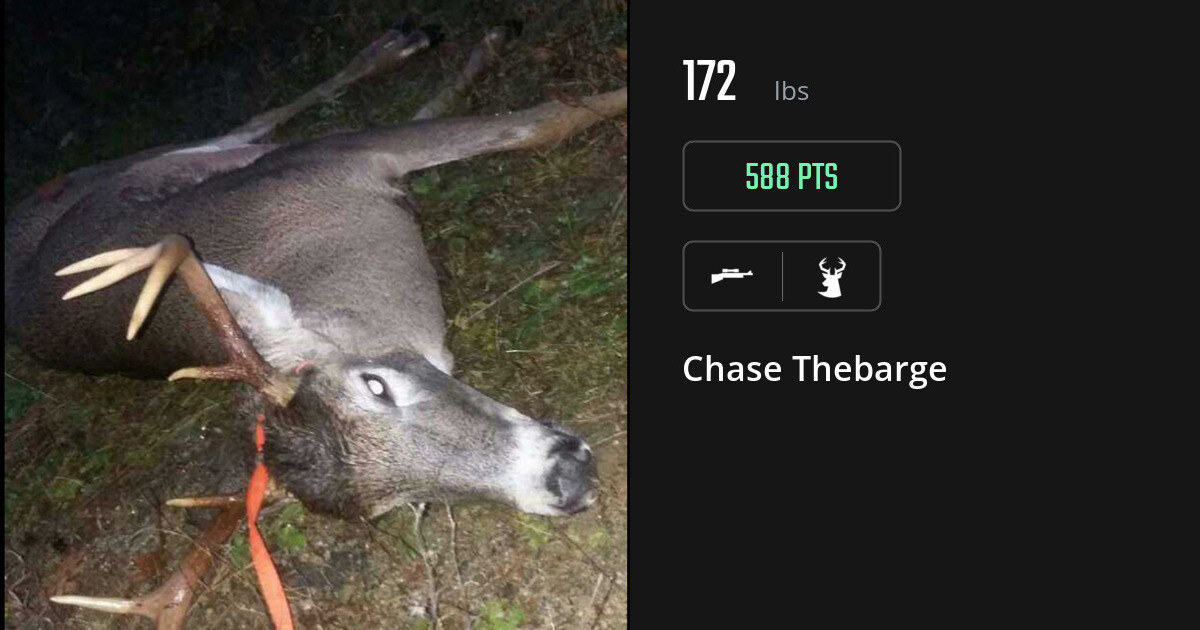 deer harvest by Chase Thebarge