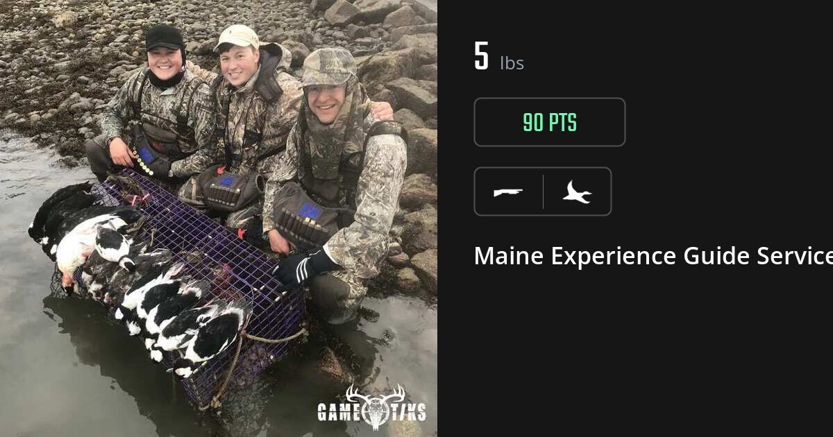 Waterfowl harvest on Gametiks