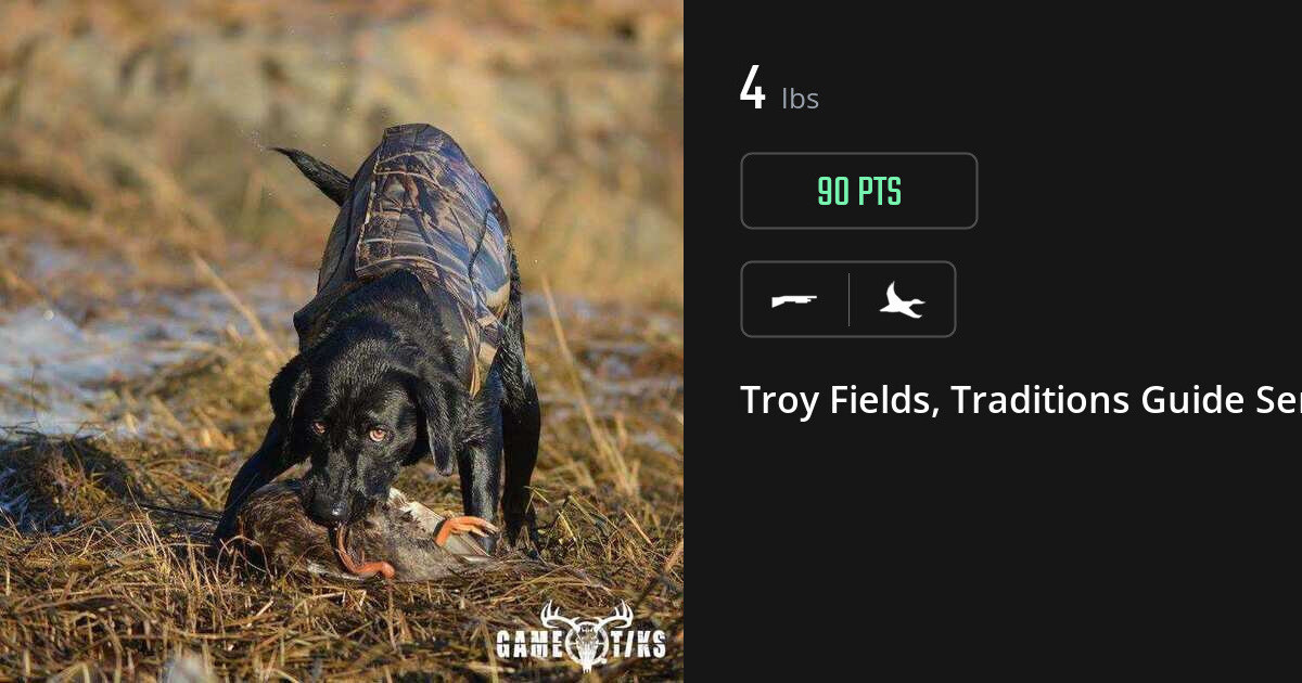 Waterfowl harvest on Gametiks