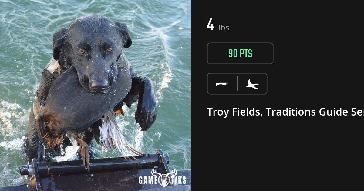Waterfowl harvest on Gametiks