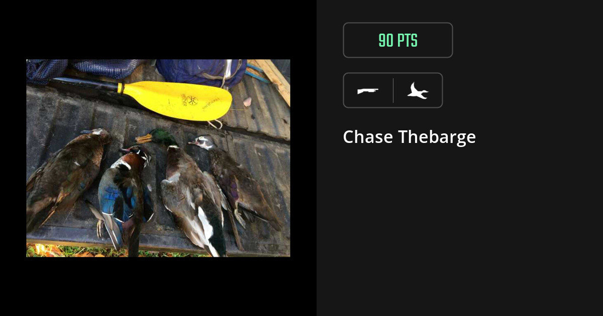 Waterfowl harvest on Gametiks