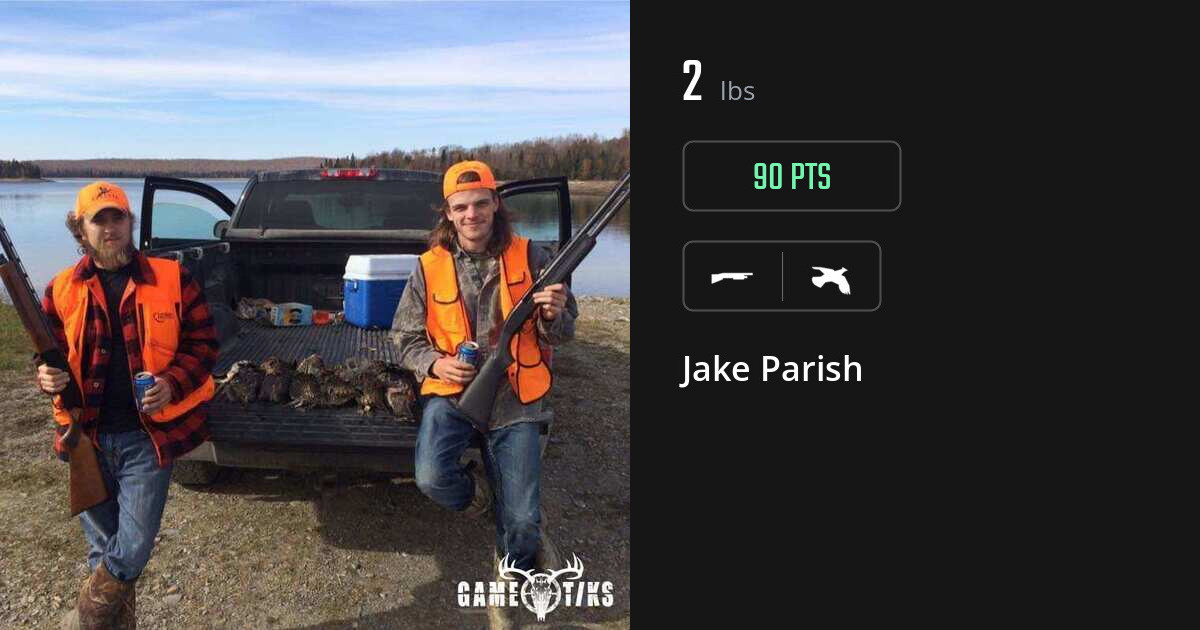 upland_bird harvest by Jake Parish