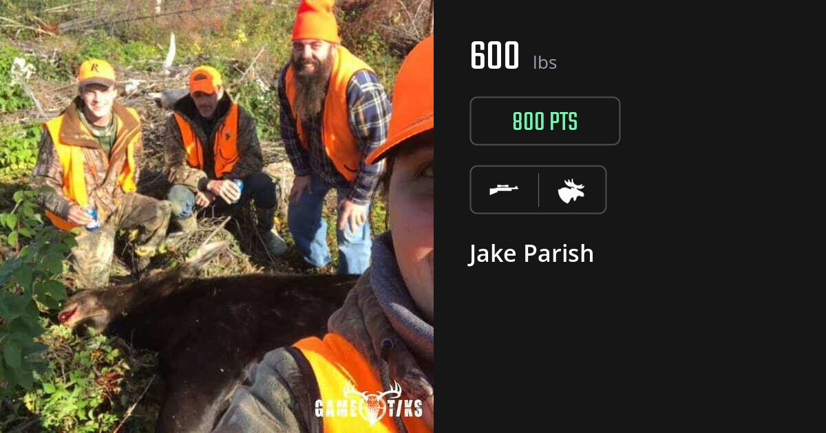 moose harvest by Jake Parish