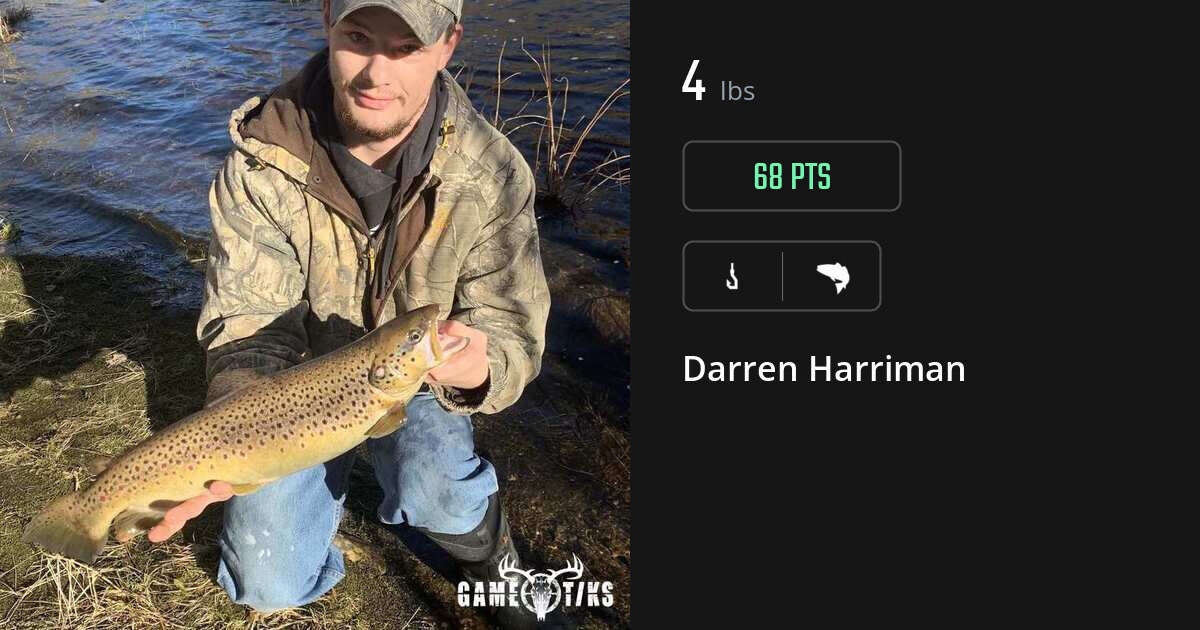 Saltwater fish harvest on Gametiks
