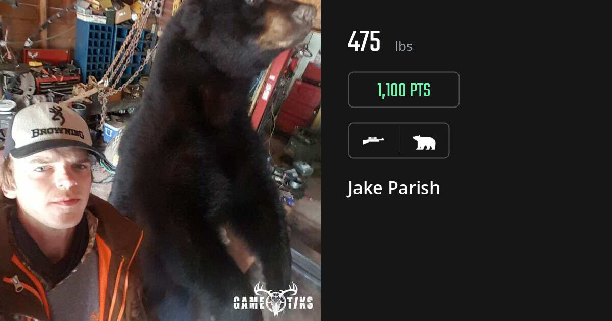 Bear harvest on Gametiks