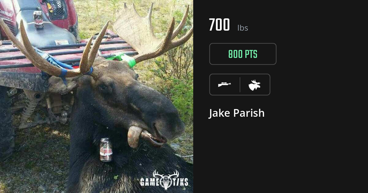 moose harvest by Jake Parish