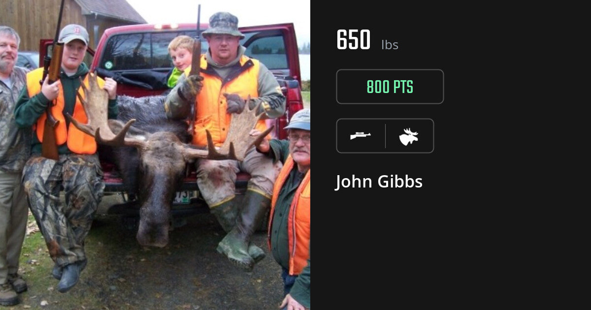 Moose harvest on Gametiks