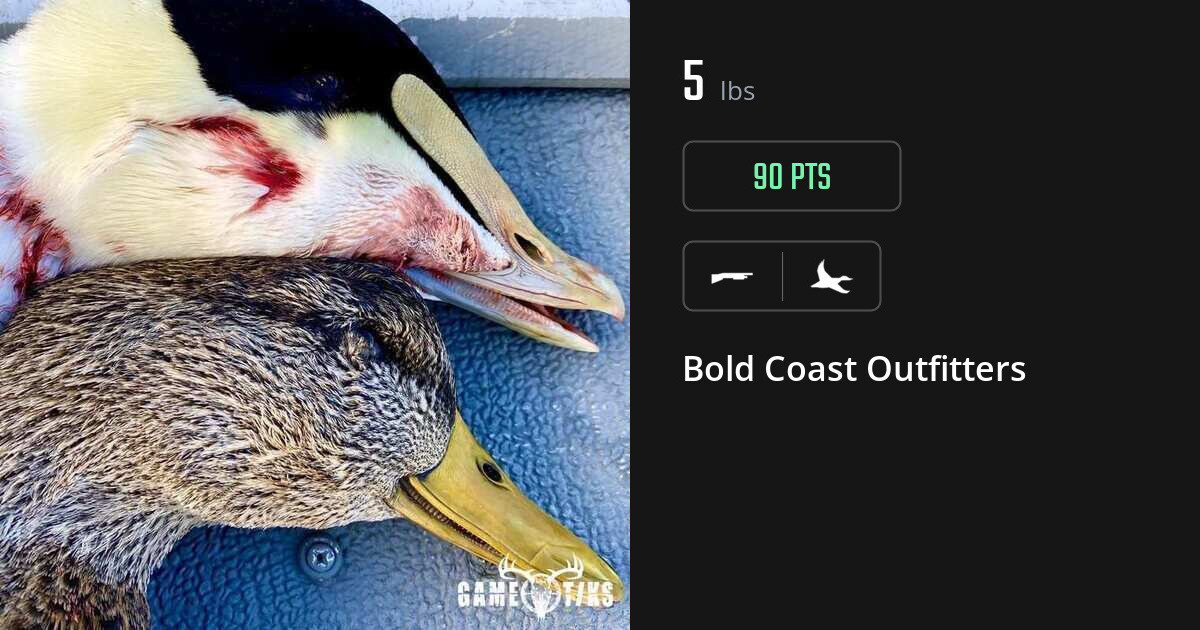 Waterfowl harvest on Gametiks