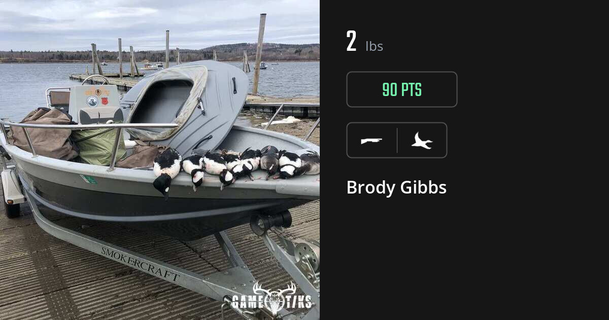 Waterfowl harvest on Gametiks