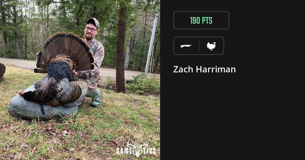 Turkey harvest on Gametiks