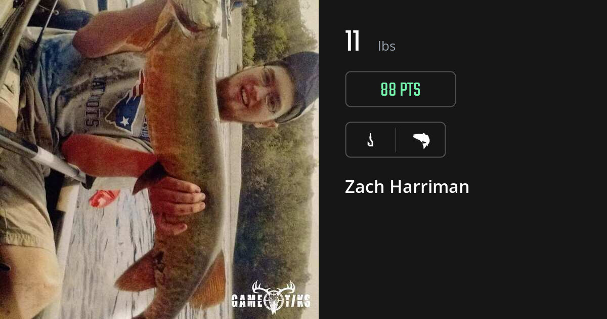Saltwater fish harvest on Gametiks