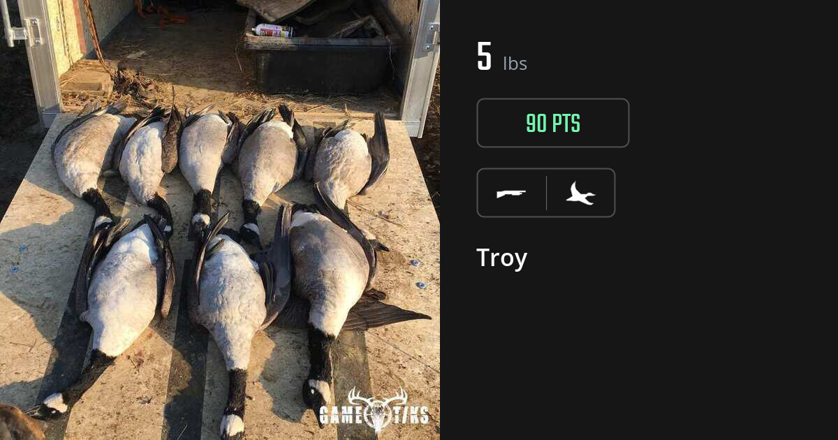 Waterfowl harvest on Gametiks