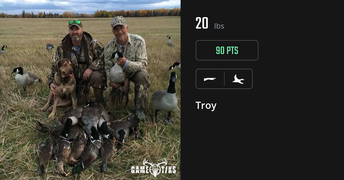 Waterfowl harvest on Gametiks