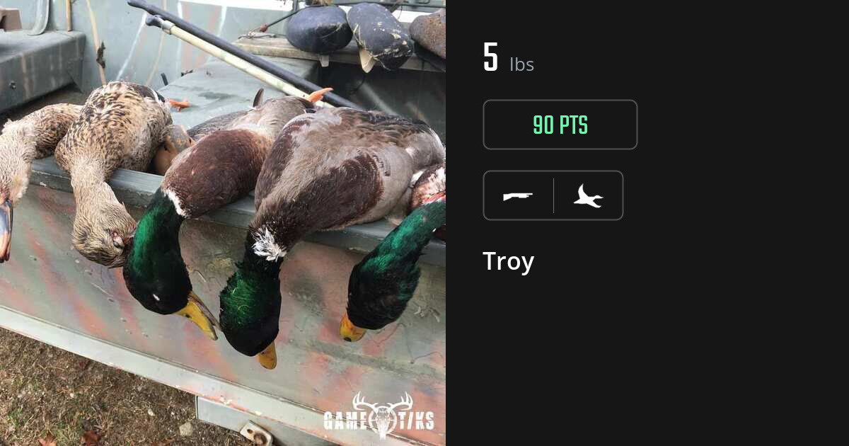 waterfowl harvest by Troy