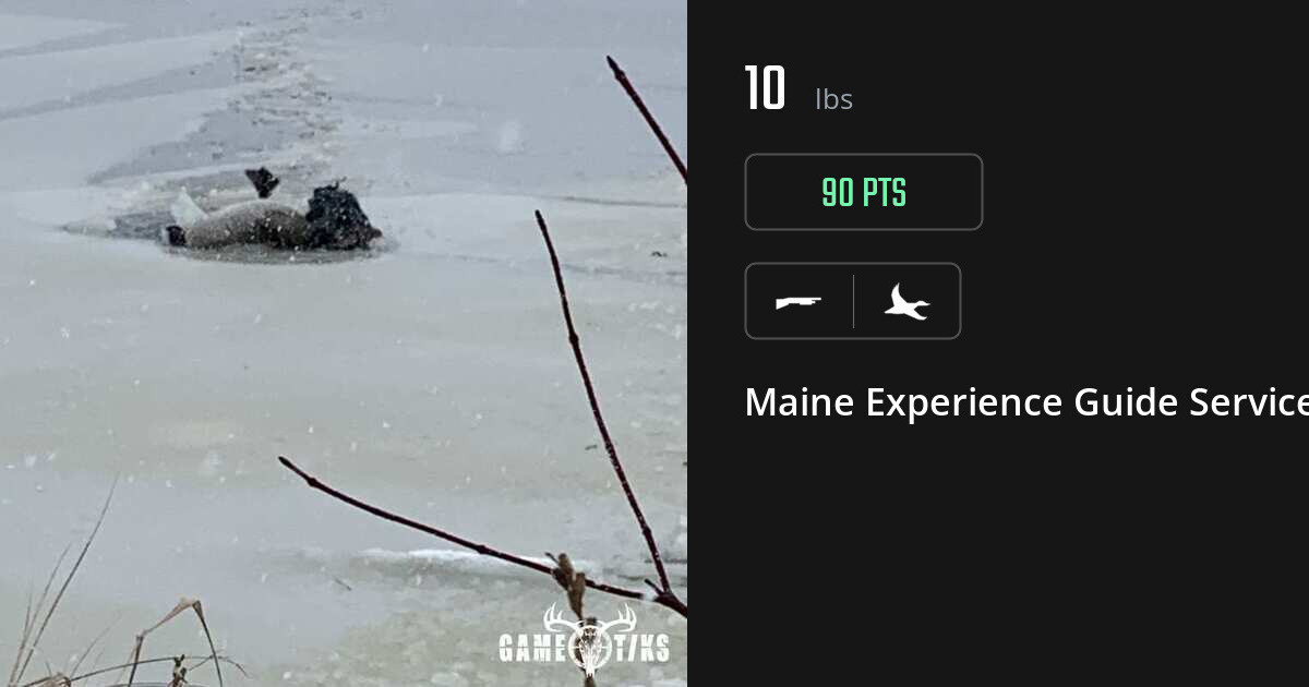 Waterfowl harvest on Gametiks