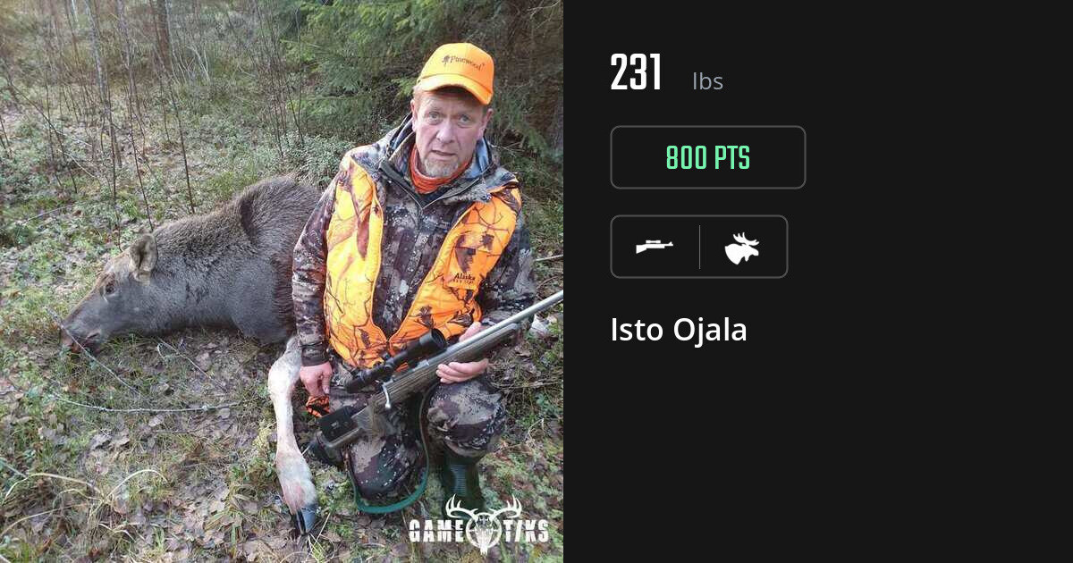 moose harvest by Isto Ojala