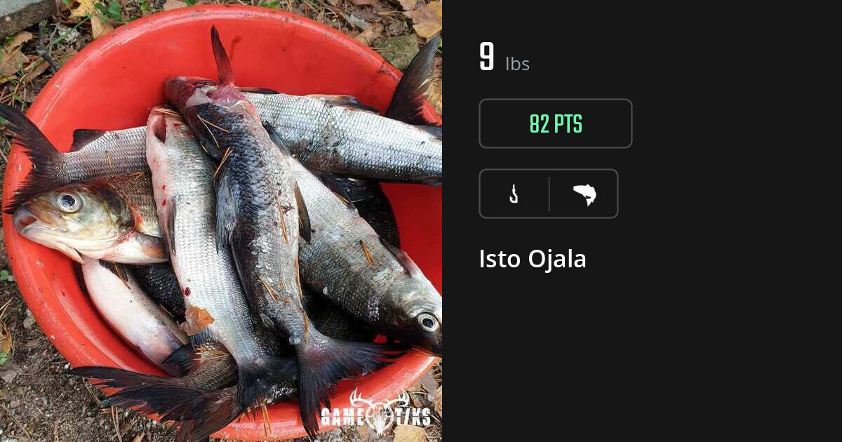 saltwater_fish harvest by Isto Ojala