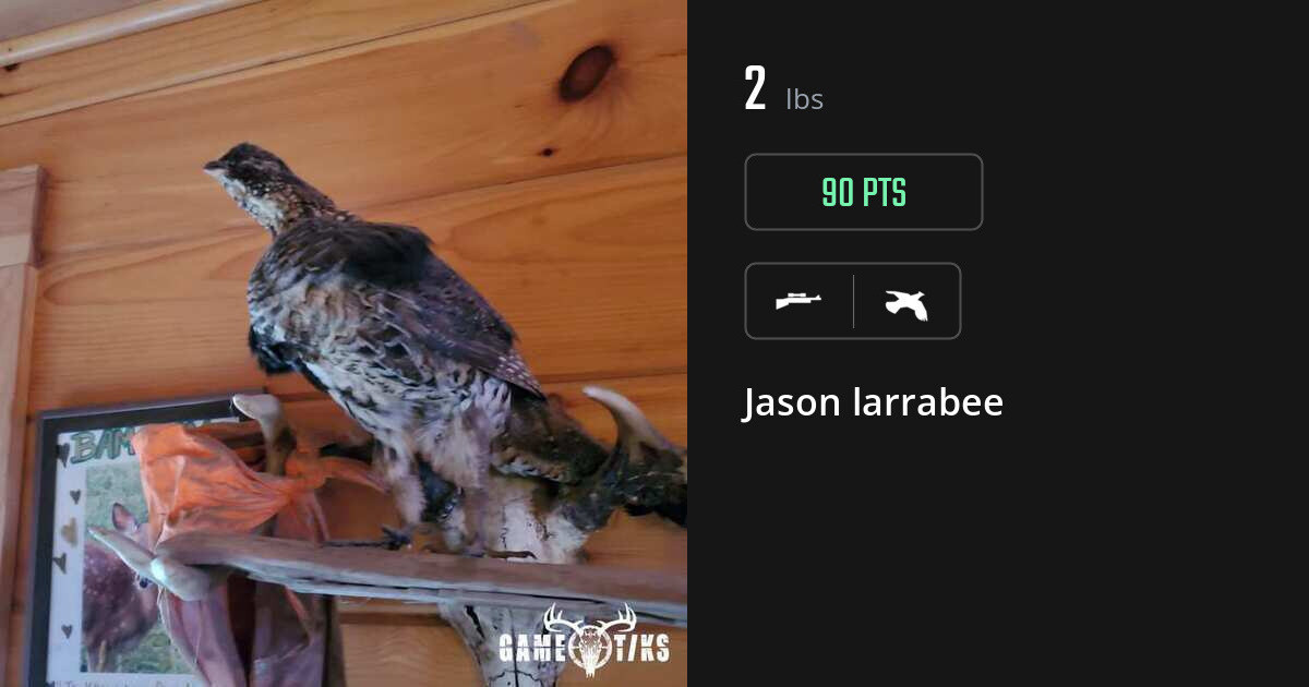 Upland bird harvest on Gametiks