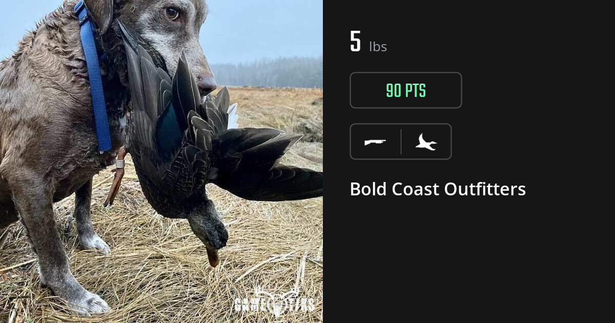 Waterfowl harvest on Gametiks