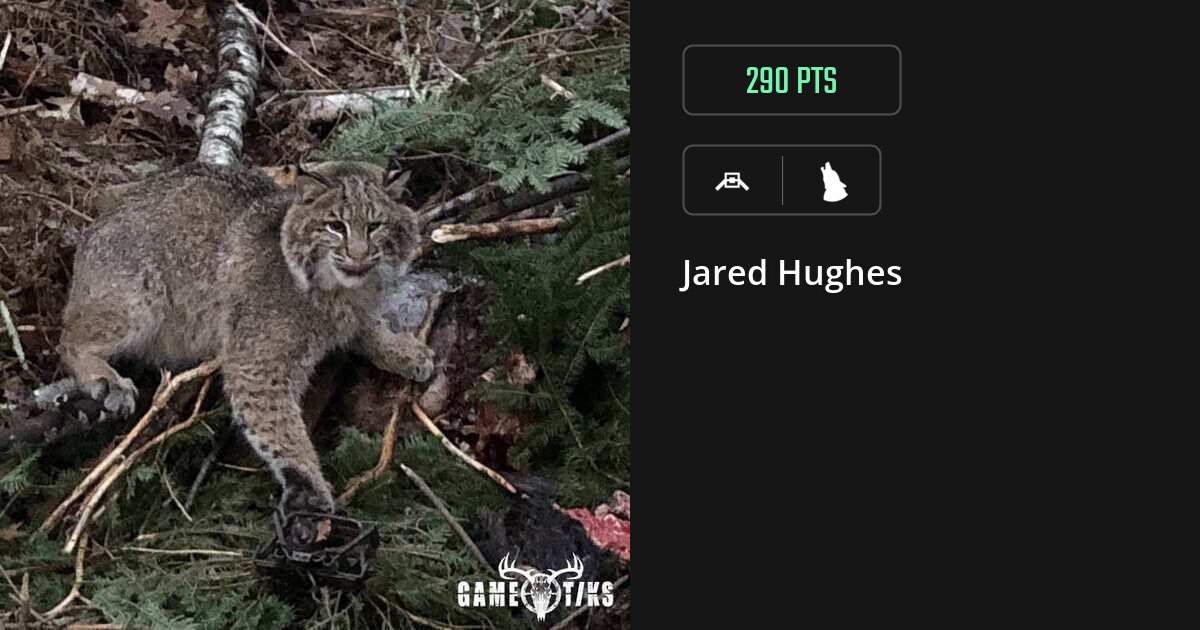 canine harvest by Jared Hughes