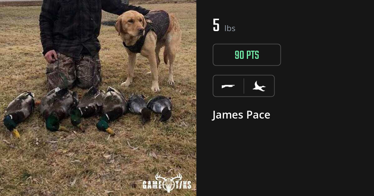 Waterfowl harvest on Gametiks